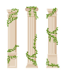 Ivy covered columns set. Ancient architecture, ancient rome and greece. Art objects. Museum and exhibition. Template and mock up. Cartoon flat vector collection isolated on white background