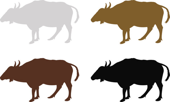 animals set cows