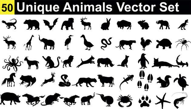 animal vector collection, Unique and diverse. Featuring a lion, giraffe, snake, bird, spider, cat and more. Perfect for wildlife enthusiasts, educational materials, and creative projects