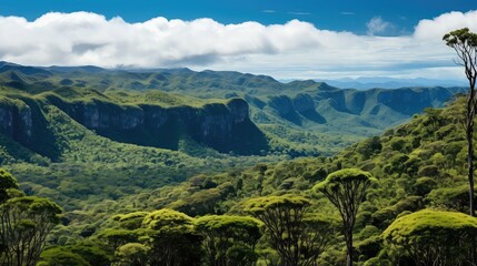 animal new caledonian forests illustration natural closeup, tree sky, tropical wildlife animal new caledonian forests