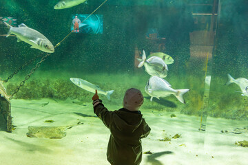 Kleiner Junge staunend vor dem Aquarium