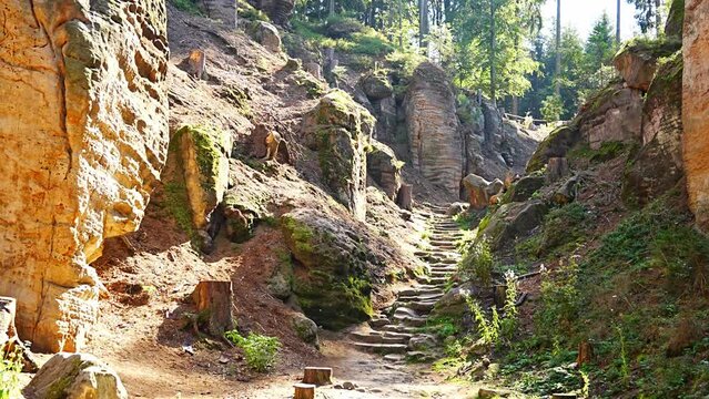 Prachovske skaly in sun lights, Cesky raj sandstone cliffs in Bohemian Paradise, Czech Republic