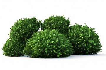 Fototapeta premium A closeup of a vibrant green plant against a white background, showcasing the beauty of nature.