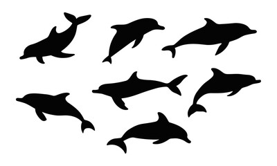 Set of Black dolphin silhouettes