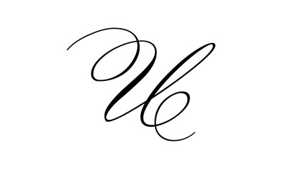 Letter U logo vector