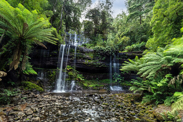 Russell Falls, a tiered–cascade waterfall on the Russell Falls Creek, located in the Central Highlands region of Tasmania, Australia. - obrazy, fototapety, plakaty