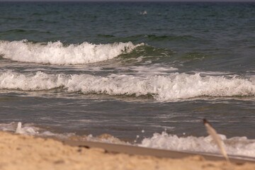 Schwimmer in der Ostsee bei Skagen, mit Schiffen © Dominik Rueß