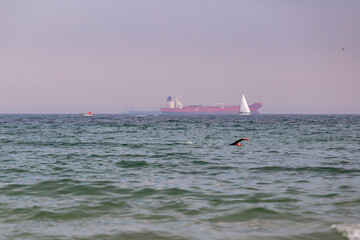 Schwimmer in der Ostsee bei Skagen, mit Schiffen © Dominik Rueß