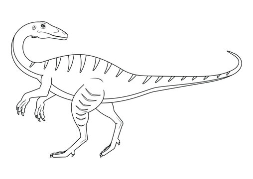 Black and White Coelophysis Dinosaur Cartoon Character Vector. Coloring Page of a Coelophysis Dinosaur