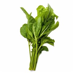 Chinese Mustard Greens on White background, HD