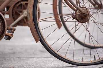 Old decay bicycle on green vine climbing garden wall outdoor. Rust Classic bike old bicycle on...