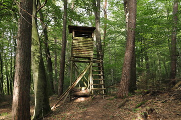 a high seat at the edge of the forest