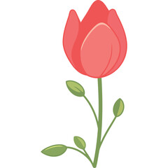 beauty red tulip flower icon