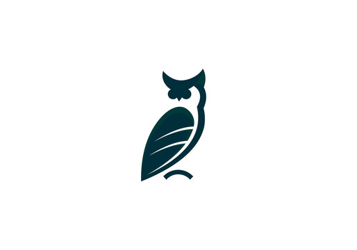 logo, illustration, bird, owl, icon, design, animal, symbol, vector, nature, concept, business