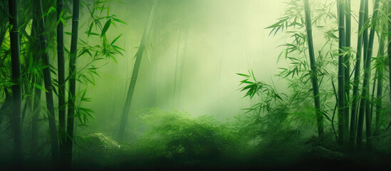 Lush Bamboo Thicket in Serene Fog