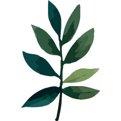 branch plant watercolor style icon