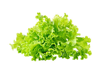Obraz premium lettuce transparent png