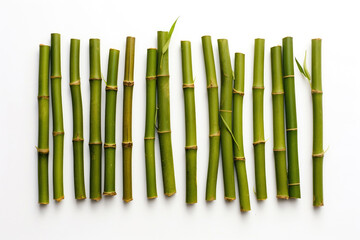 Bamboo Stems Cluster on White