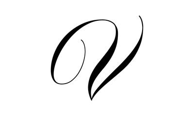 Letter V Logo Template Design