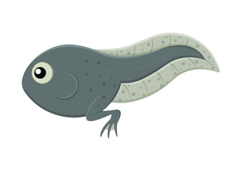 Tadpole Cartoon Character Vector Illustration Isolated on White Background