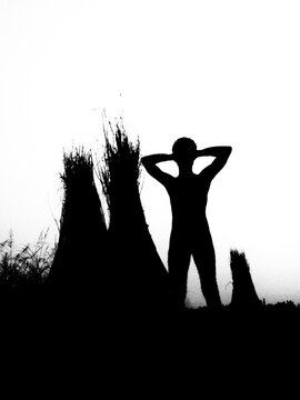 Adult Man Hands up behind the Head. This is a beautiful Silhouette of a male.
