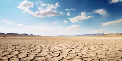 Foto op Canvas Desert landscape with sky. Drought © Sasint