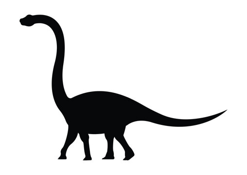 recommend clip art: Omeisaurus Dinosaur Silhouette Vector Isolated on White Background