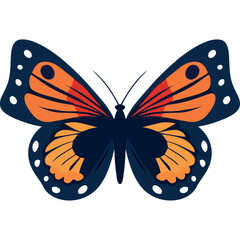 beauty multicolor butterfly with wings open