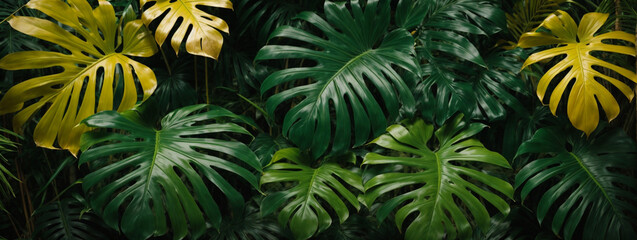 Naklejka premium leaf texture, foliage nature on a green background, green, grass, vegetation
