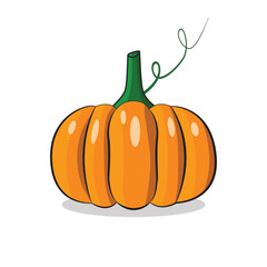 pumpkin vector, flat pumpkin vector.
