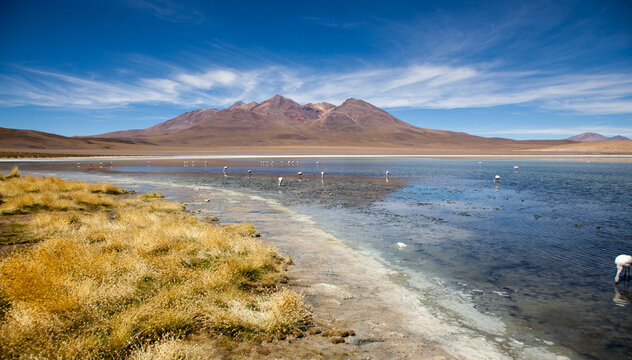 Panoramic view of the Hedionda lake in Bolivia
