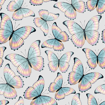 Vector pattern with high detailed tropic butterfly