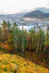 Trees and Bergen Panorama - obrazy, fototapety, plakaty