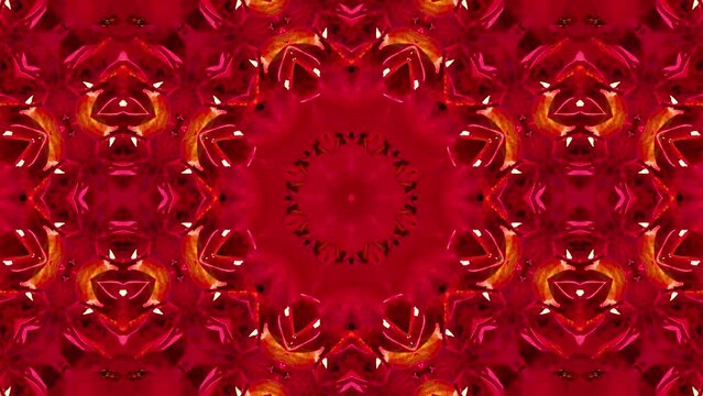Animazione e movimento con effetto caleidoscopio