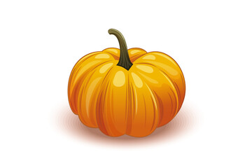 Appetizing ripe pumpkin isolated on white background. Vector illustration