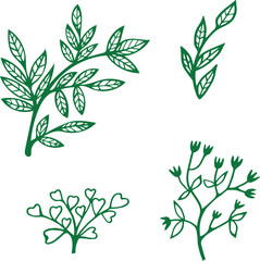 Set of luxury green leaves and flowers elements in watercolor and ink style. Aquarelle and line branches and blooming