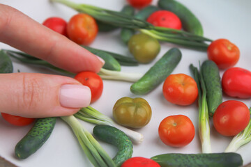 Small vegetables. Miniature tomatoes. Polymer clay. Cherry tomatoes. Cucumbers. Green onions.