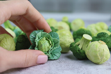 Mini food. miniature cabbage. Brussels sprouts. Broccoli. White cabbage. Cabbage with leaves. Healthy eating. Games for children.