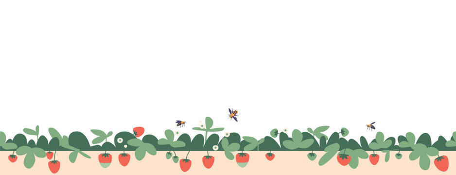 Strawberry And Bees Border. Decorative Design Element Arranged In A Horizontal Pattern. Isolated Frame With Ripe Berries