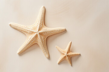 starfish on a pastel background, summer banner, copy space 