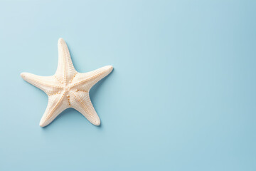 Fototapeta na wymiar starfish on a pastel background, summer banner, copy space 