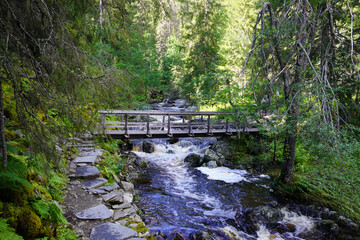 Wunderschöne Landschaft auf der Wanderung zum Fettjeåfallet Wasserfall in Schweden