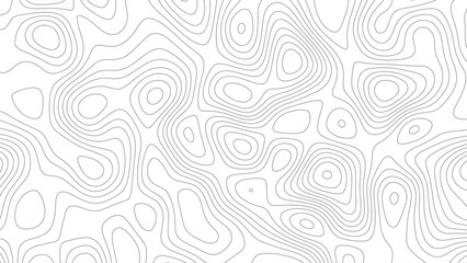 Topo contour map on white background, Topographic contour lines.