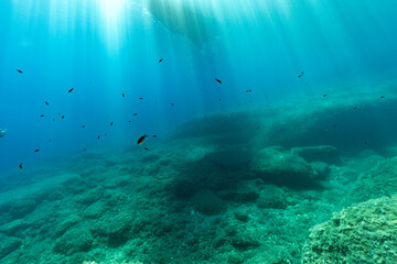 Seascape