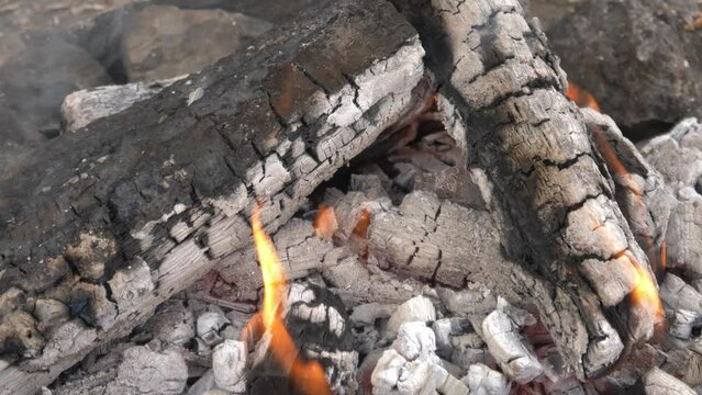fire burning in oak wood - beautiful flames - slowly burning fire 4K 60 FPS