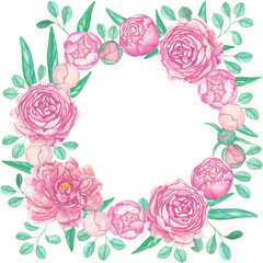 Isolated wreath consisting of blossoming pink peonies, peony buds and emerald peony and eucalyptus leaves drawn in watercolor on a white background.