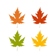 Set of vector leaves. Maple leaves. Isolated on a white background.	Flat design.
