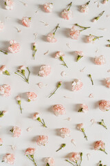 Pink carnation flowers pattern on white background