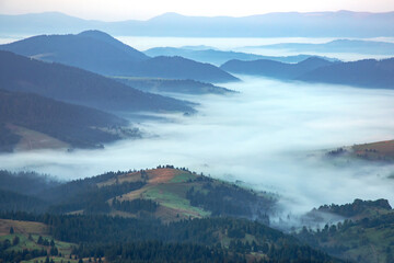 Morning dense fog in the mountainous forest area of ​​the Ukrainian Carpathians. Landscape in...