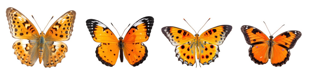 Beatiful and colorful butterflies isolated on transparent background generative ai